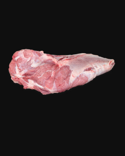 Agulha Pá Novilho Novilho Agulha Pá