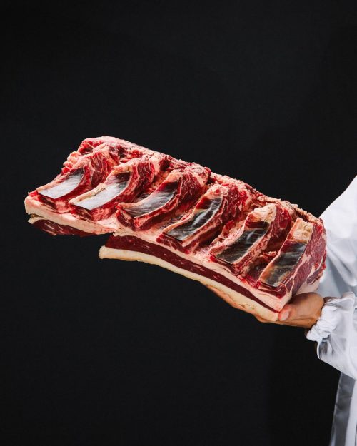 _BI_0572-tinified Vazia alta vaca maturada