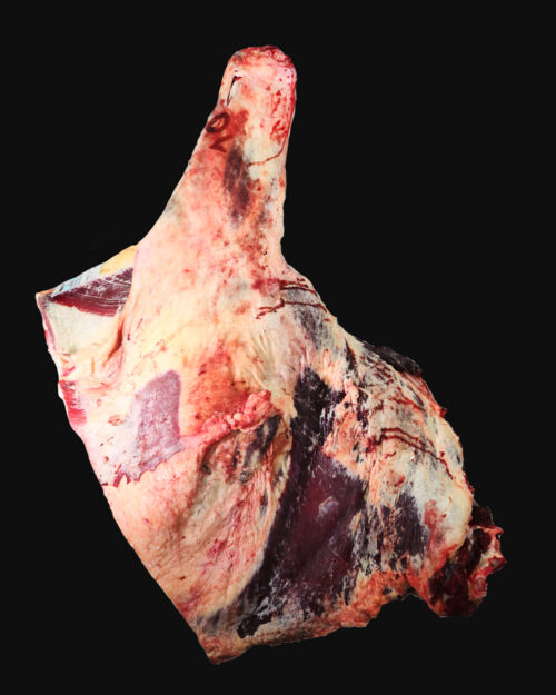 Dianteiro 2 Dianteiro