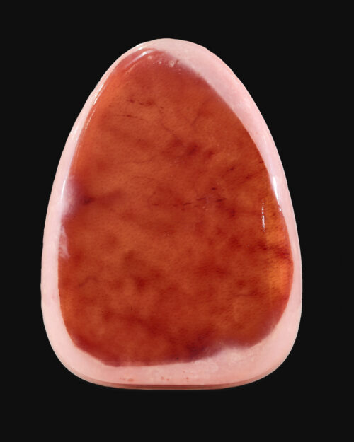 Fiambre Perna Extra
