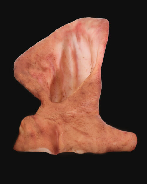 Ears