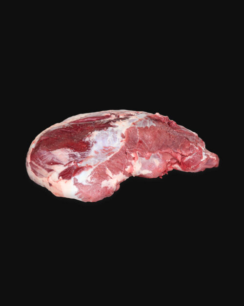 Pojadouro Novilho Novilho Pojadouro