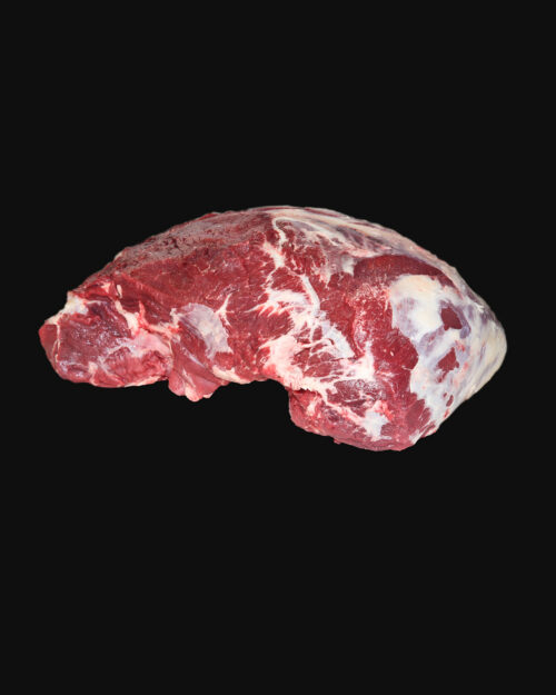 Pojadouro Vaca1 Pojadouro